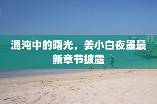 混沌中的曙光，姜小白夜墨最新章节披露