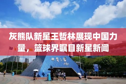灰熊队新星王哲林展现中国力量，篮球界瞩目新星新闻