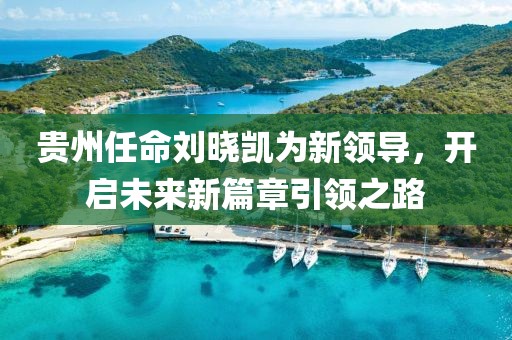 贵州任命刘晓凯为新领导，开启未来新篇章引领之路