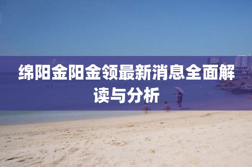 绵阳金阳金领最新消息全面解读与分析