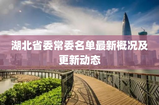 湖北省委常委名单最新概况及更新动态