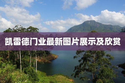 凯雷德门业最新图片展示及欣赏