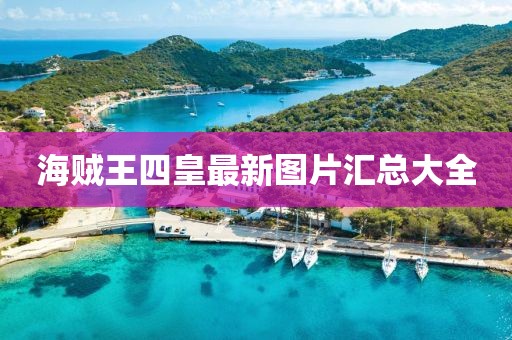 海贼王四皇最新图片汇总大全