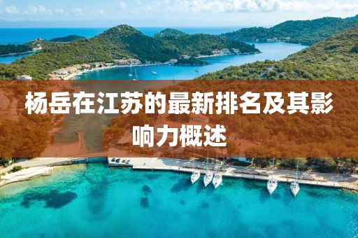杨岳在江苏的最新排名及其影响力概述