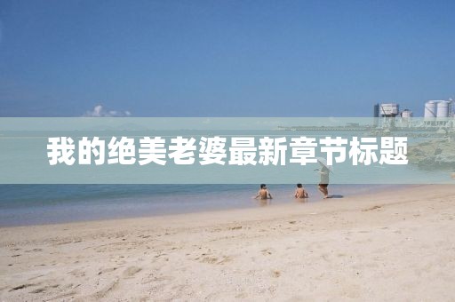 我的绝美老婆最新章节标题