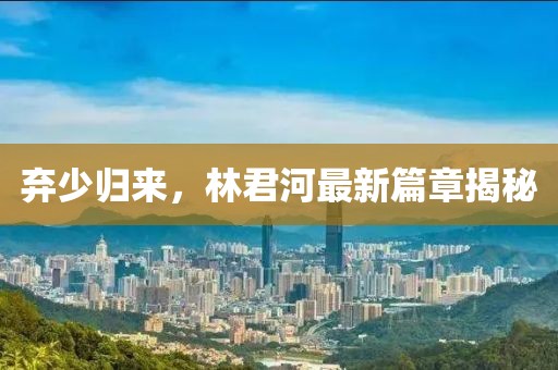弃少归来，林君河最新篇章揭秘