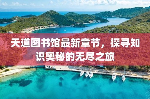 天道图书馆最新章节，探寻知识奥秘的无尽之旅