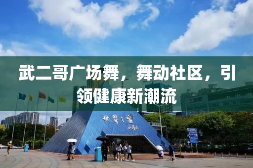 武二哥广场舞，舞动社区，引领健康新潮流