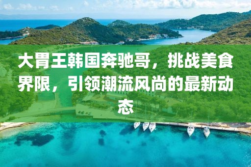 大胃王韩国奔驰哥，挑战美食界限，引领潮流风尚的最新动态