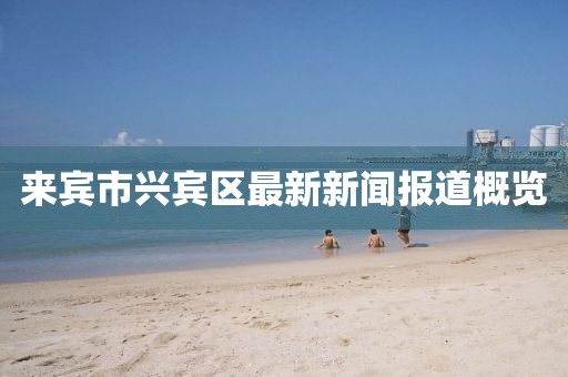 来宾市兴宾区最新新闻报道概览