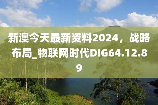 新澳今天最新资料2024，战略布局_物联网时代DIG64.12.89