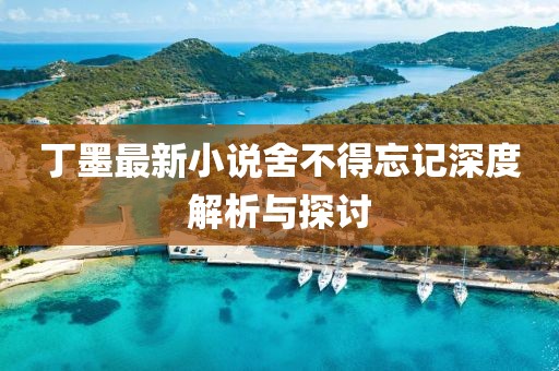 丁墨最新小说舍不得忘记深度解析与探讨