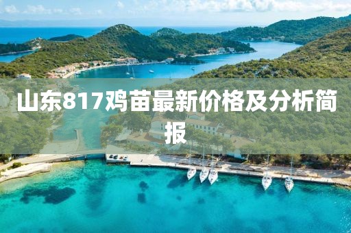 山东817鸡苗最新价格及分析简报