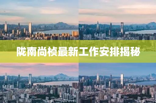 陇南尚桢最新工作安排揭秘