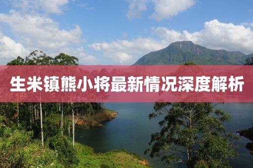 生米镇熊小将最新情况深度解析