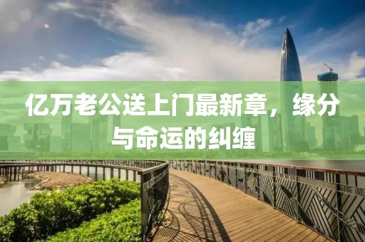 亿万老公送上门最新章，缘分与命运的纠缠