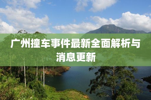 广州撞车事件最新全面解析与消息更新