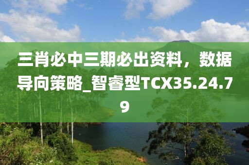 三肖必中三期必出资料，数据导向策略_智睿型TCX35.24.79