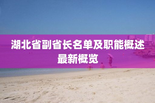 湖北省副省长名单及职能概述最新概览