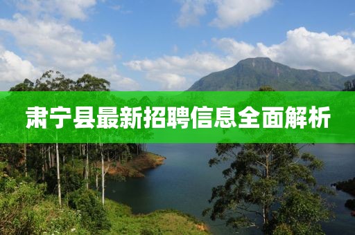 肃宁县最新招聘信息全面解析