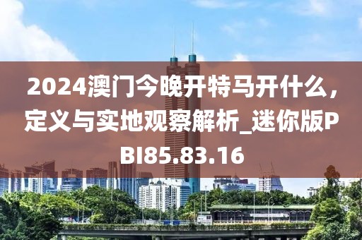 2024澳门今晚开特马开什么，定义与实地观察解析_迷你版PBI85.83.16