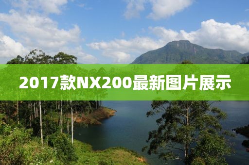 2017款NX200最新图片展示