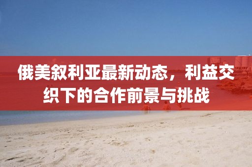俄美叙利亚最新动态，利益交织下的合作前景与挑战