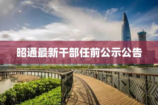 昭通最新干部任前公示公告