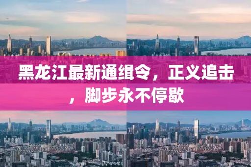 黑龙江最新通缉令，正义追击，脚步永不停歇