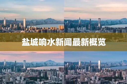 盐城响水新闻最新概览