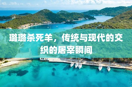 璐璐杀死羊，传统与现代的交织的屠宰瞬间