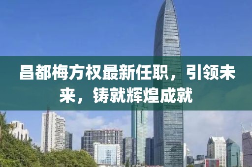 昌都梅方权最新任职，引领未来，铸就辉煌成就