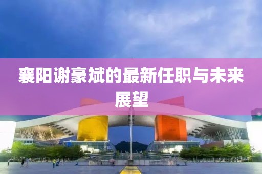 襄阳谢豪斌的最新任职与未来展望