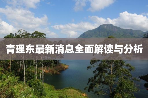 青理东最新消息全面解读与分析