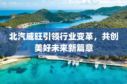 北汽威旺引领行业变革，共创美好未来新篇章