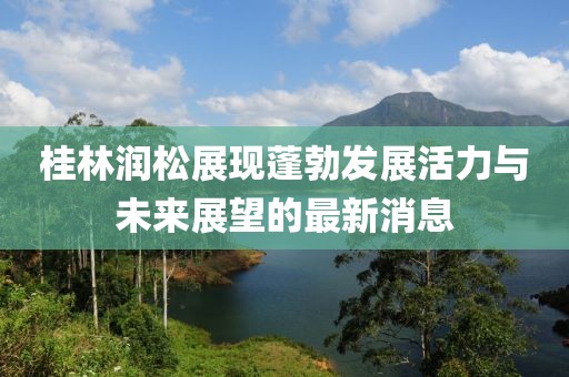 桂林润松展现蓬勃发展活力与未来展望的最新消息