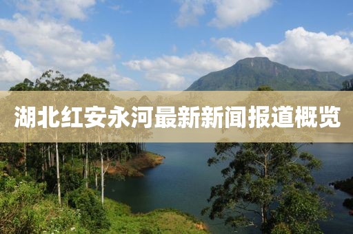 湖北红安永河最新新闻报道概览