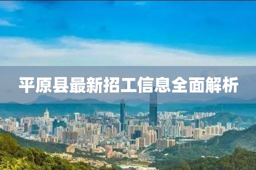 平原县最新招工信息全面解析