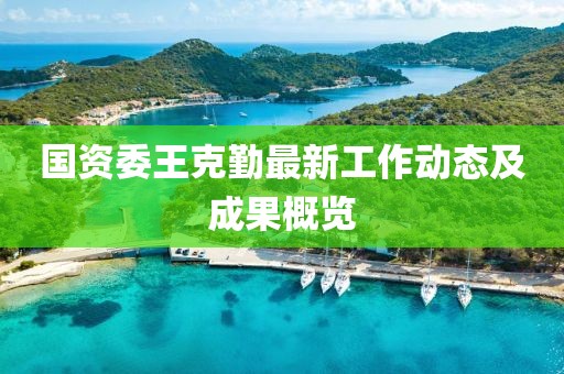 国资委王克勤最新工作动态及成果概览