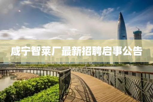 咸宁智莱厂最新招聘启事公告