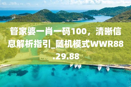 管家婆一肖一码100，清晰信息解析指引_随机模式WWR88.29.88