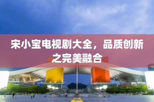 宋小宝电视剧大全，品质创新之完美融合