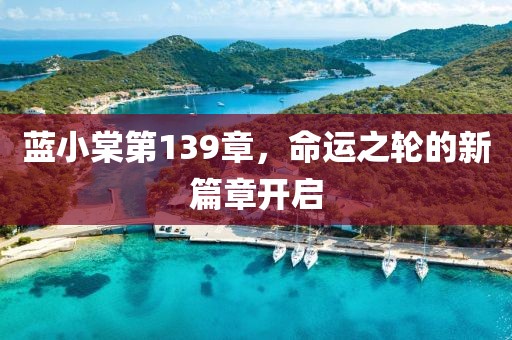 蓝小棠第139章，命运之轮的新篇章开启
