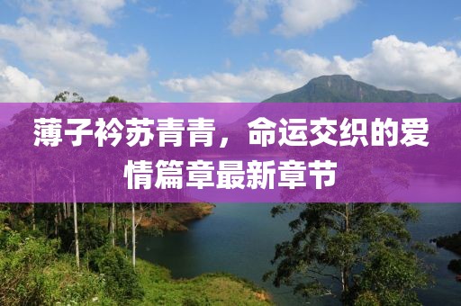 薄子衿苏青青，命运交织的爱情篇章最新章节