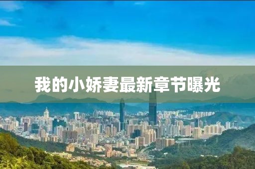 我的小娇妻最新章节曝光