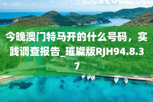 今晚澳门特马开的什么号码，实践调查报告_璀璨版RJH94.8.37