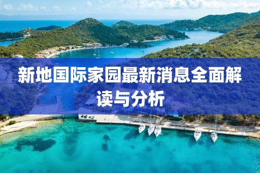 新地国际家园最新消息全面解读与分析