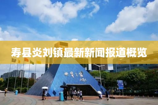寿县炎刘镇最新新闻报道概览