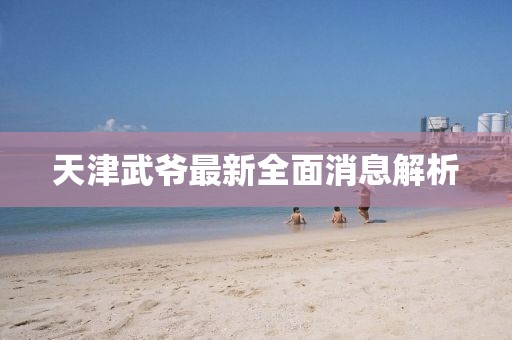 天津武爷最新全面消息解析