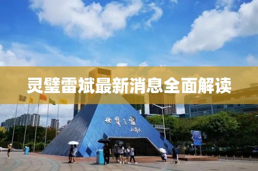 灵璧雷斌最新消息全面解读